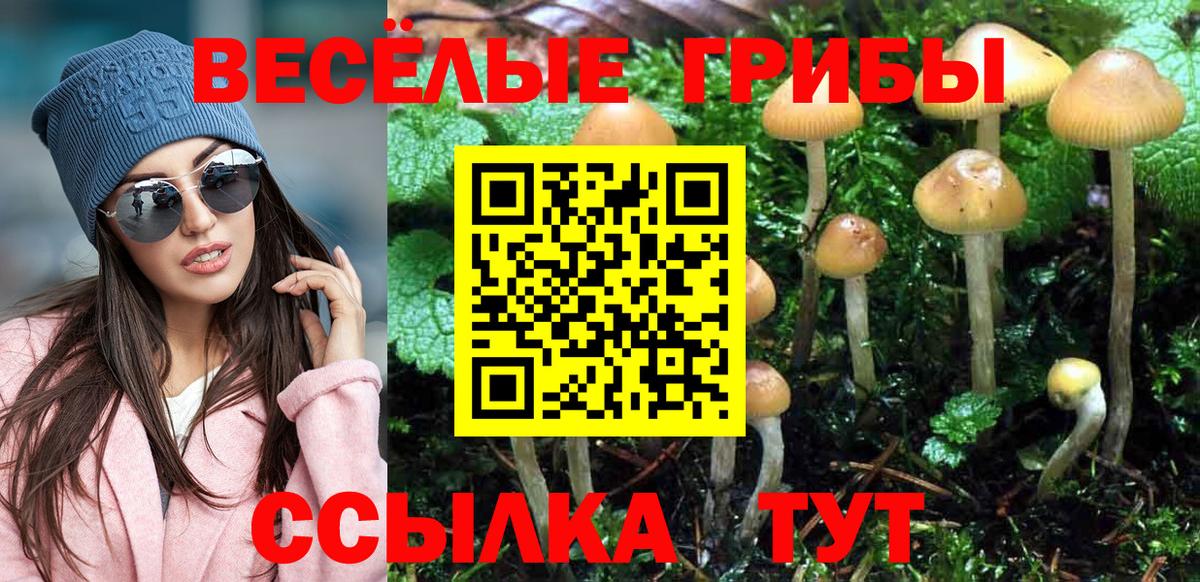 Галлюциногенные грибы GOLDEN TEACHER Шатура