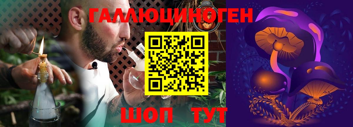Галлюциногенные грибы мицелий  Вход с VPN  Галлюциногенные грибы прущие грибы  Шатура 